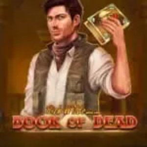 Book of Dead slot van Play'n GO bij Casoola Casino